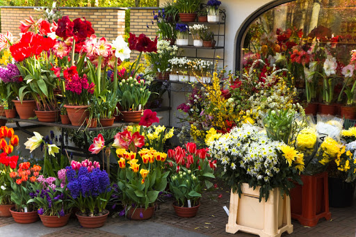 Flower Boutique