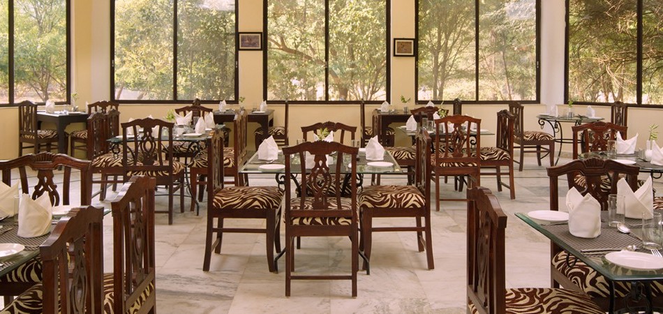 SARISKA TIGER HEAVEN