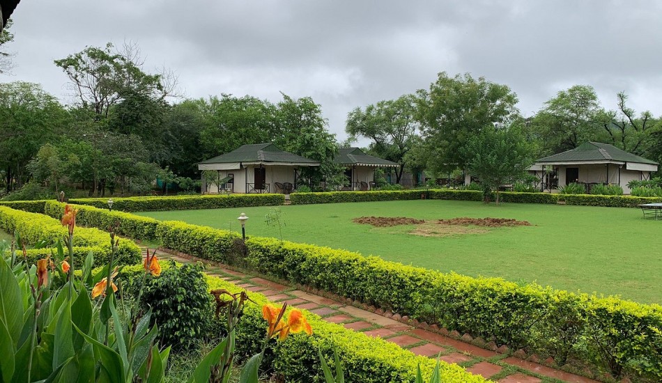 SARISKA TIGER HEAVEN