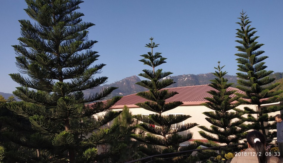 THE FERN SURYA RESORT