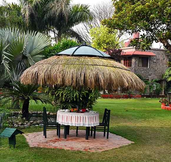 TREE OF LIFE  HOMESTEAD CORBETT COUNTRY