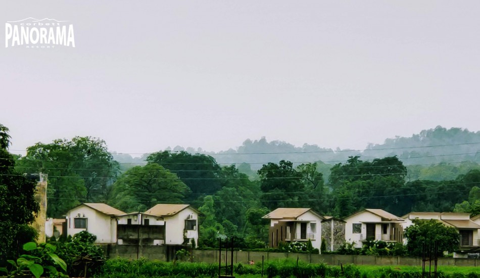 CORBETT PANORAMA RESORT