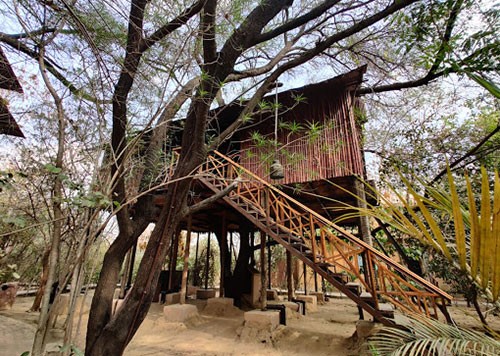 THE TREE HOUSE RESORT