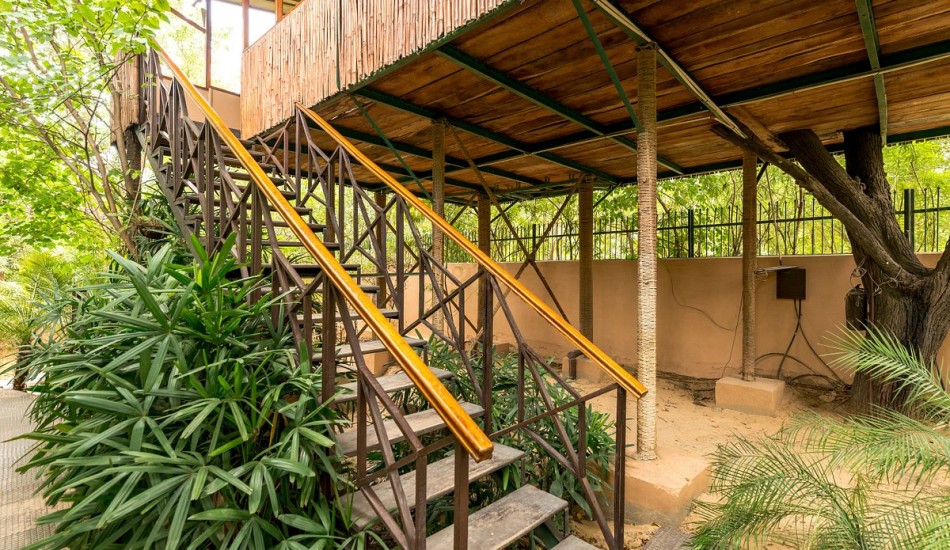 THE TREE HOUSE RESORT