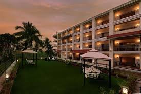 GOLDEN TULIP