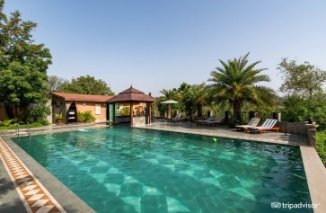 THE TREE HOUSE RESORT
