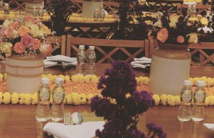 Veeray Events