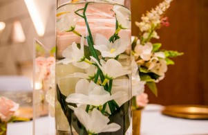 Dreamz Wedding Planner