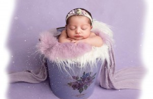 Cherry Blossom Clicks