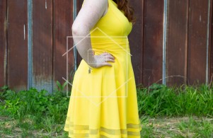 the immortal memories