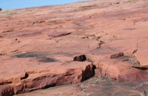 the immortal memories