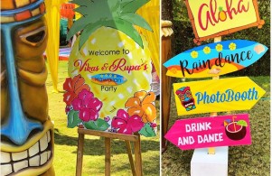 Meraki Weddings India