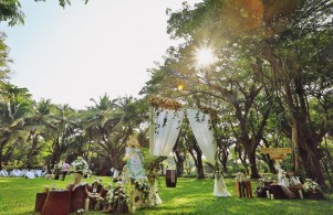 Purple Tree Events Solution