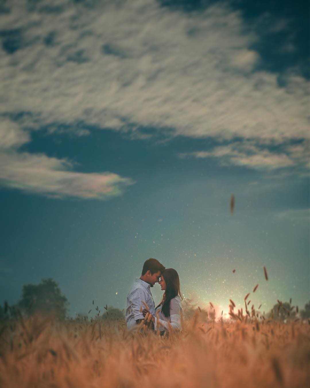 361 Degree Productions