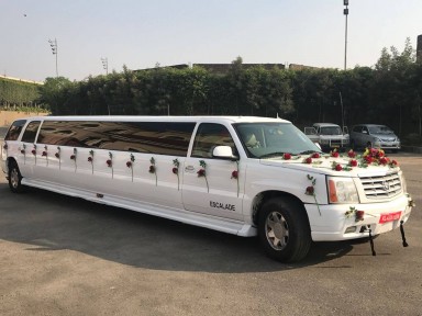 Luxury Limo