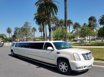 Luxury Limo