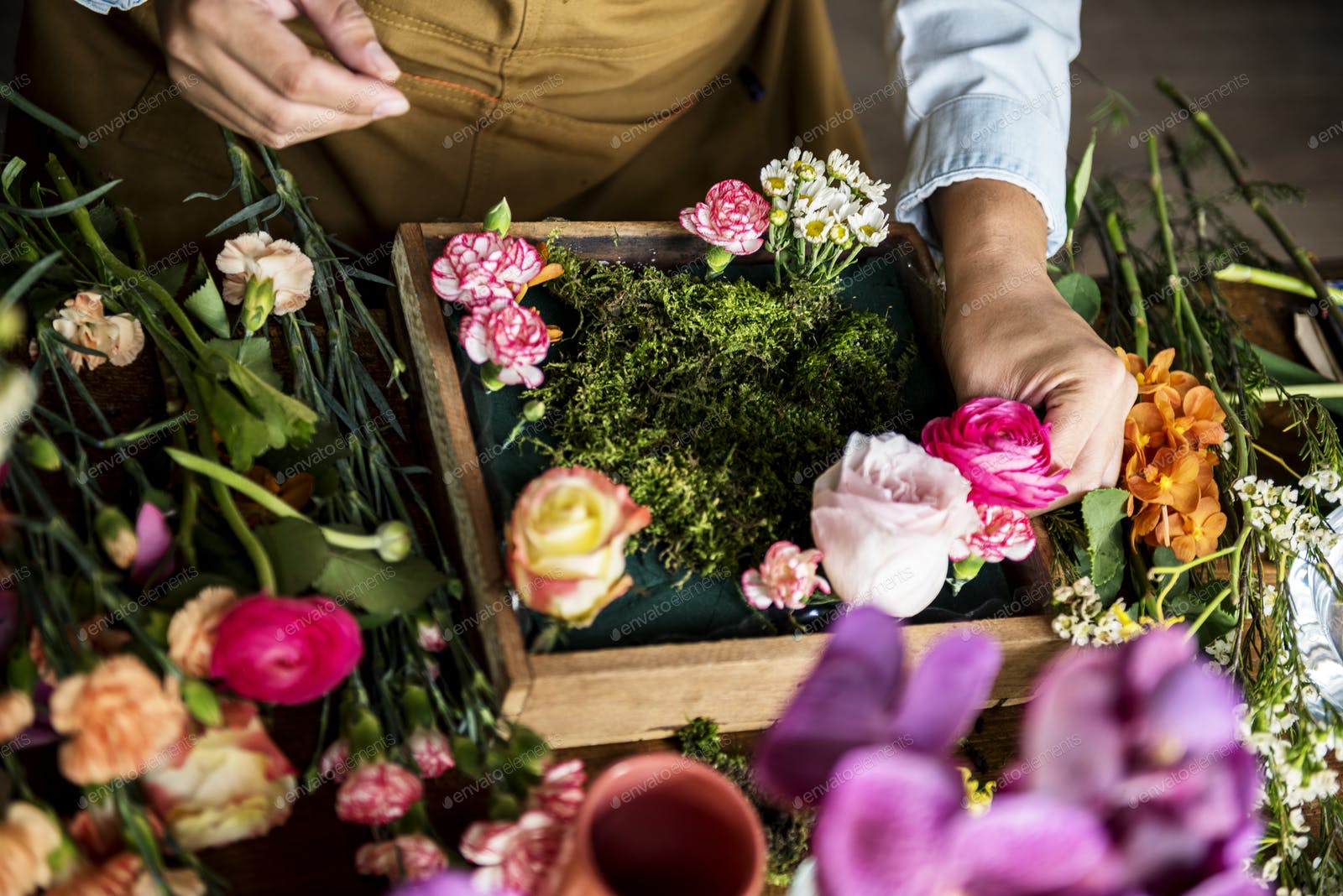 Maya flowers