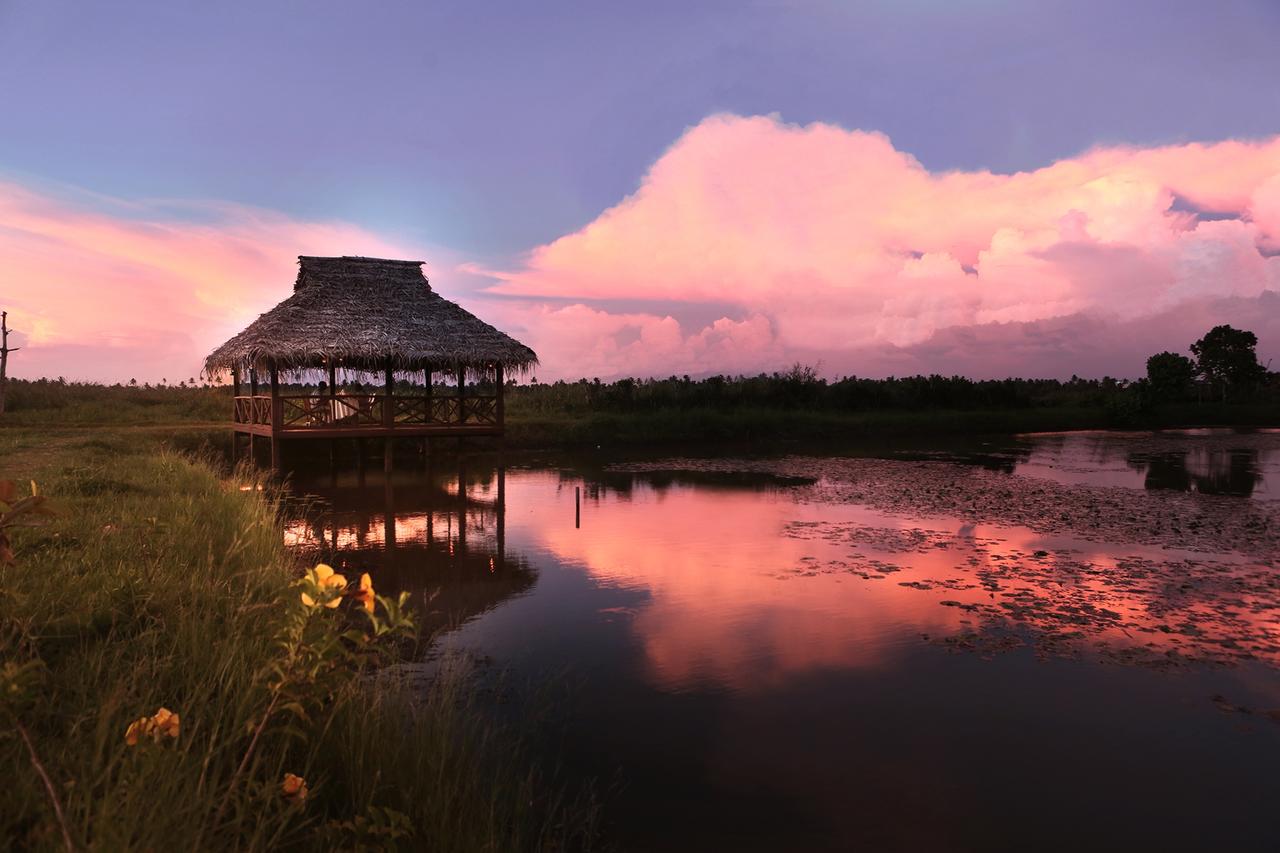 COCONUT LAGOON