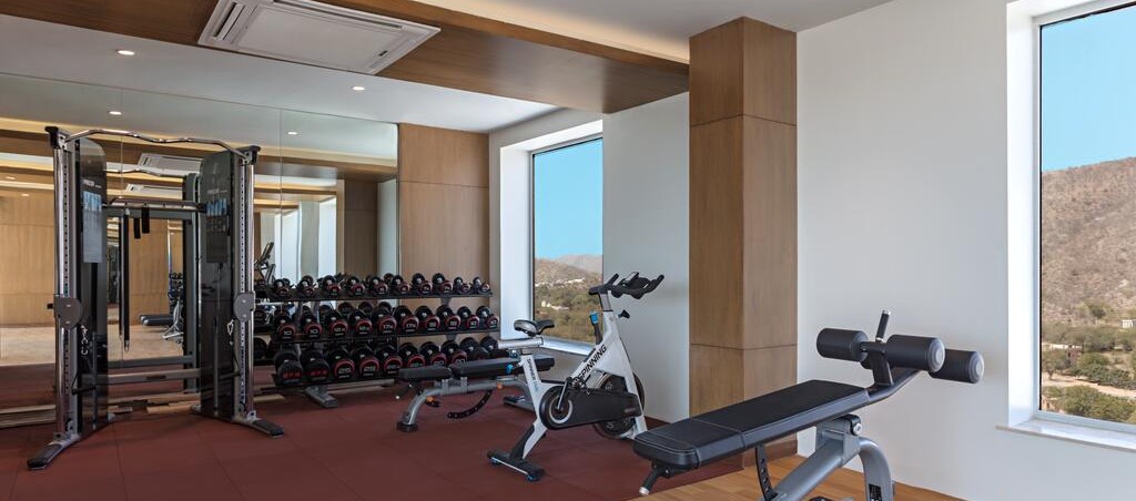 Executive Room, 1 King Bed