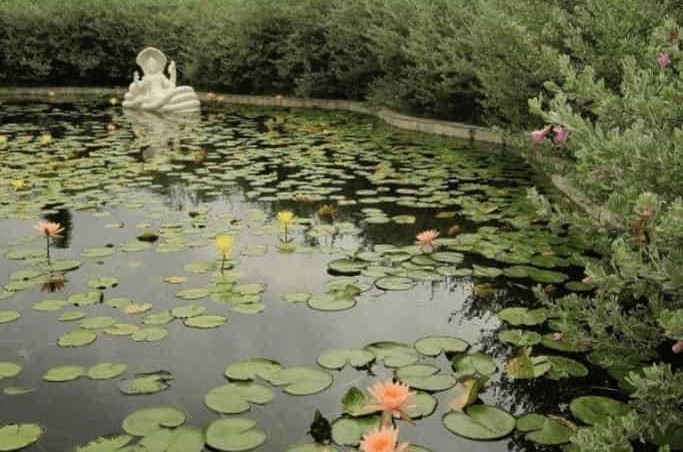 Luxury Garden & Spa Villa