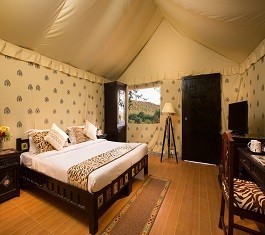Premier Room