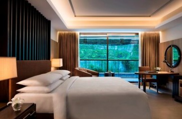 Deluxe Guest room