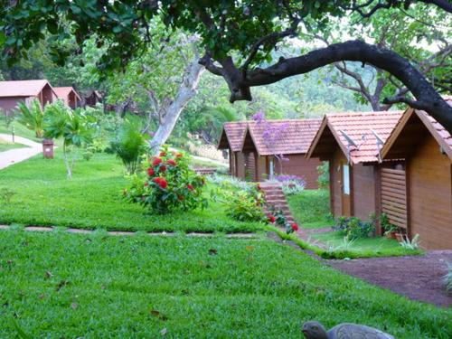 Premium Sea View Cottage