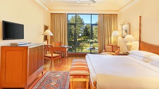 Our Deluxe Garden View Rooms.