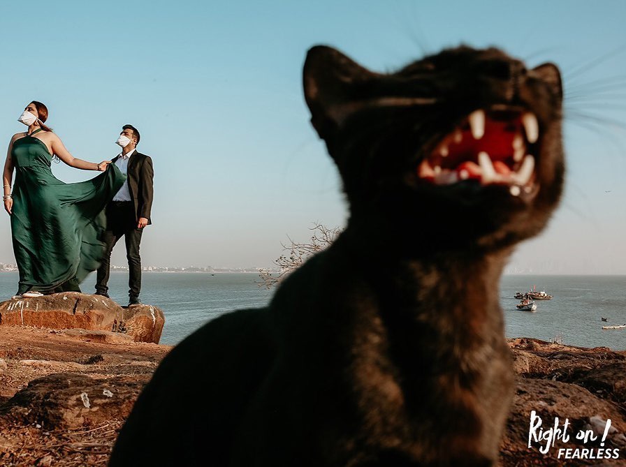 Clicks Unlimited Photography