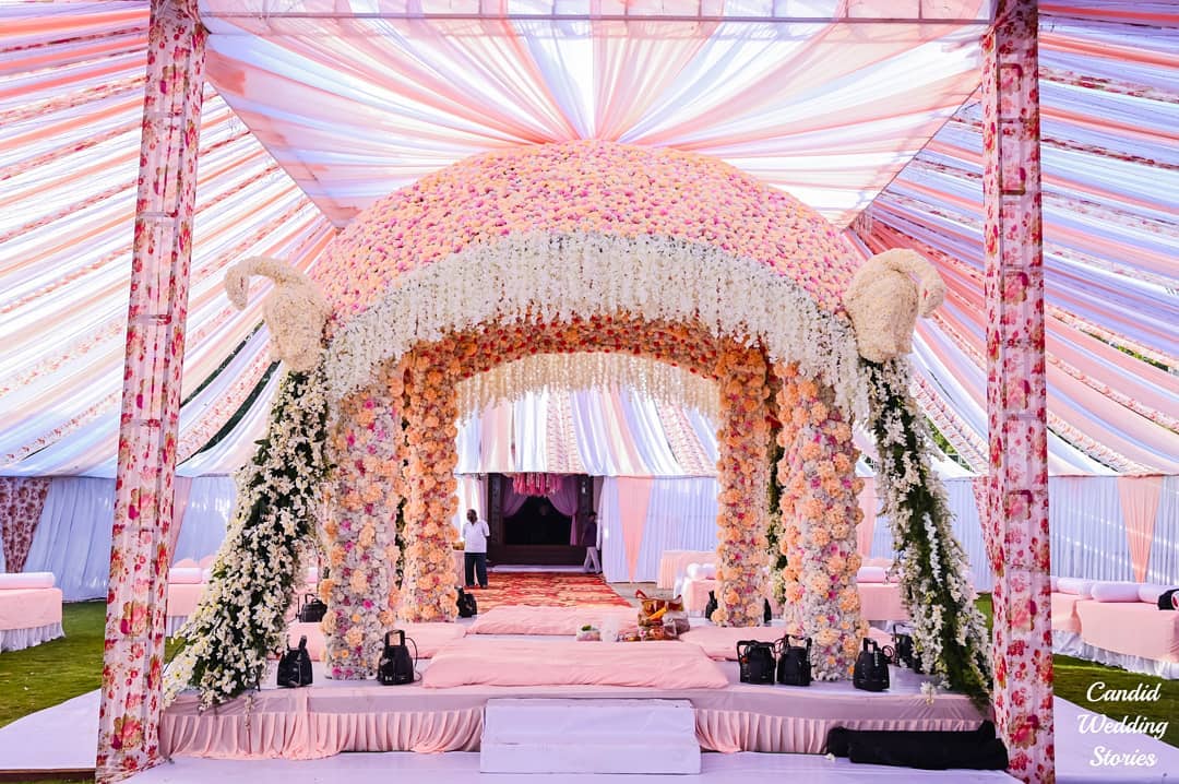 Candid Wedding Stories