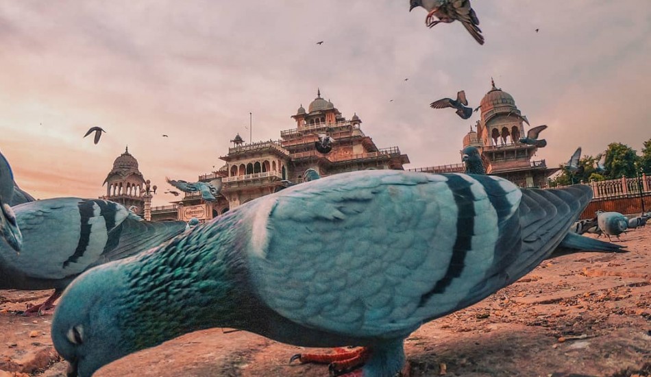Chintu Pathak Photography