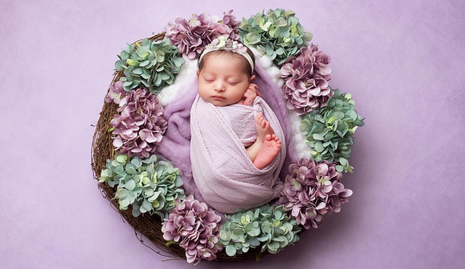 Cherry Blossom Clicks