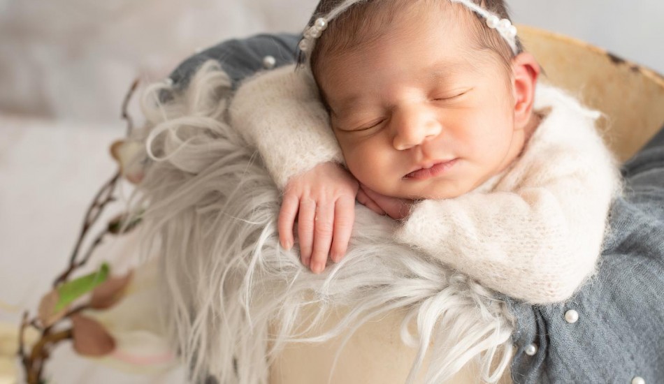 Cherry Blossom Clicks