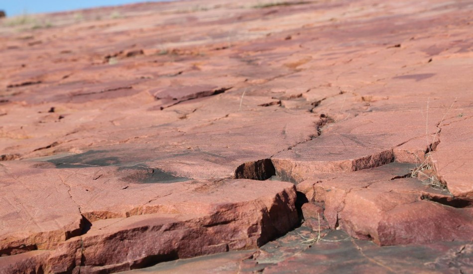 the immortal memories