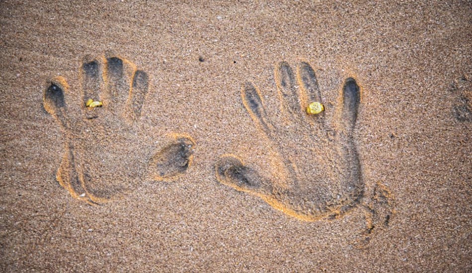 Picz & Clickz Services