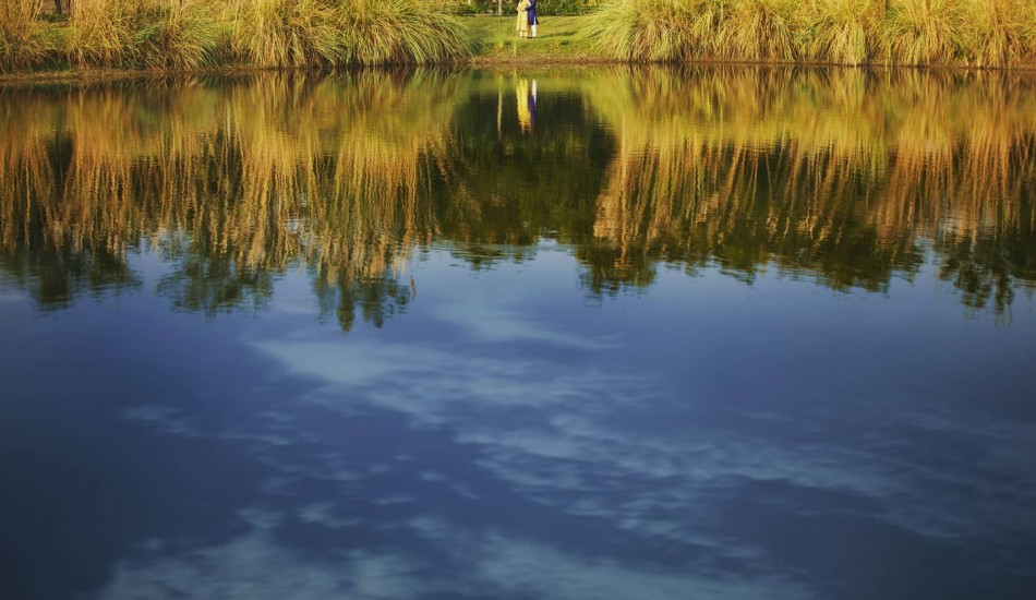 Studio 146 - Professional Photography