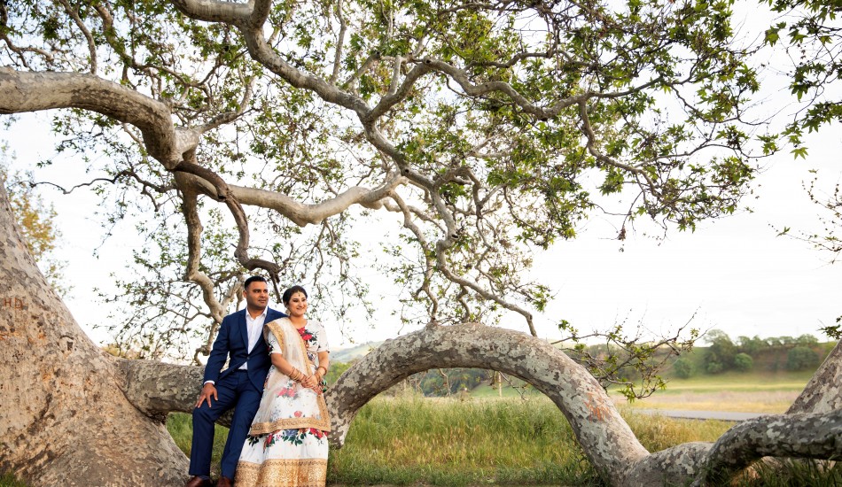 Zoom Focus & Click Photography