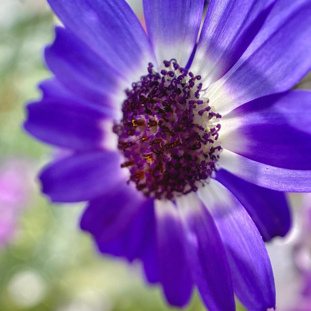 Gaurav Dhingra Visuals