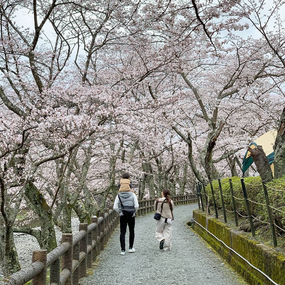 Simplypush Photography