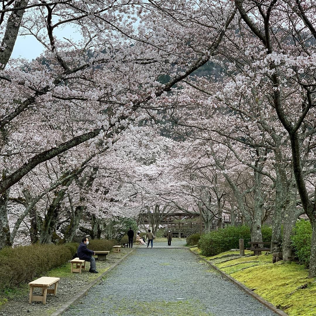 Simplypush Photography