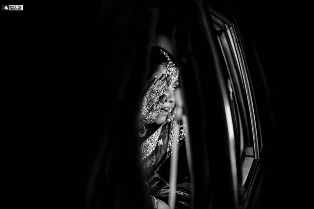 White Frog Productions, Delhi NCR