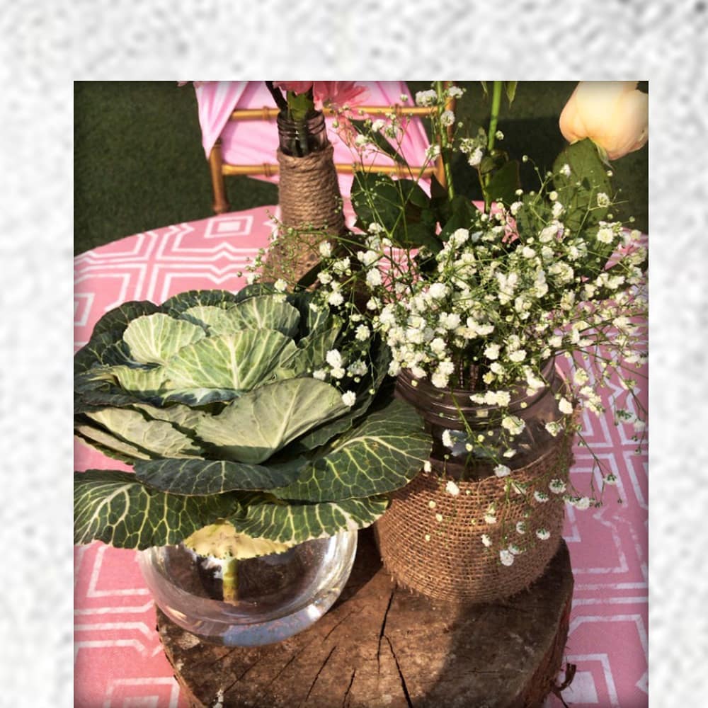 Plush Events & Weddings