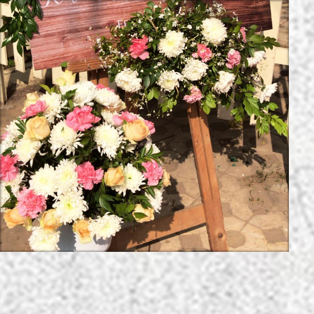 Plush Events & Weddings