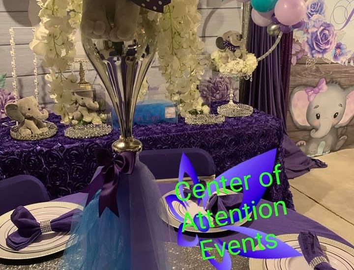 Turquoise Elephant Events