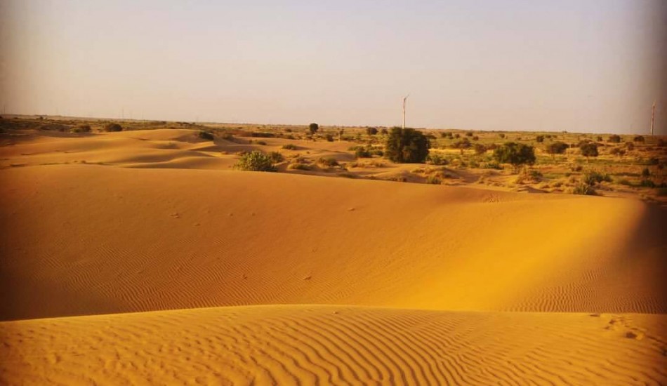 Golden castle event work