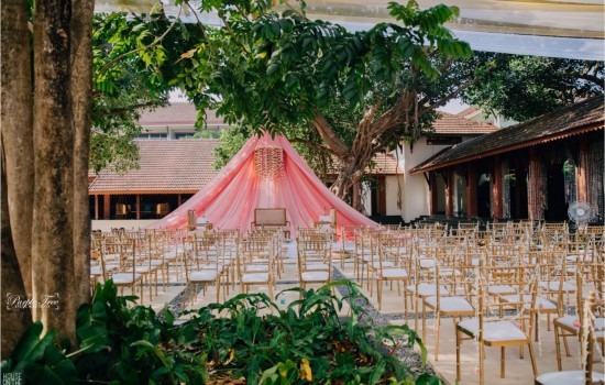 Purple Tree Events Solution