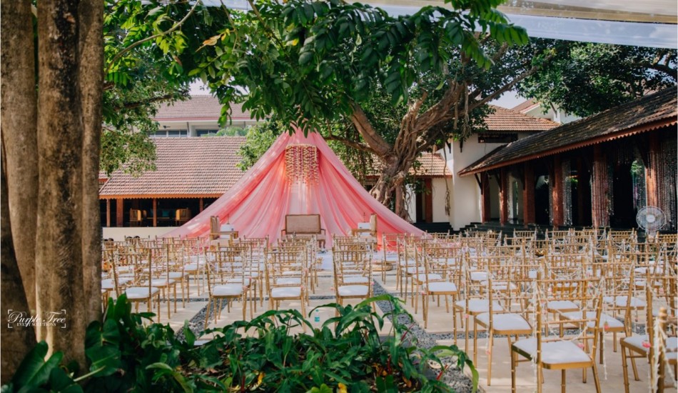 Purple Tree Events Solution