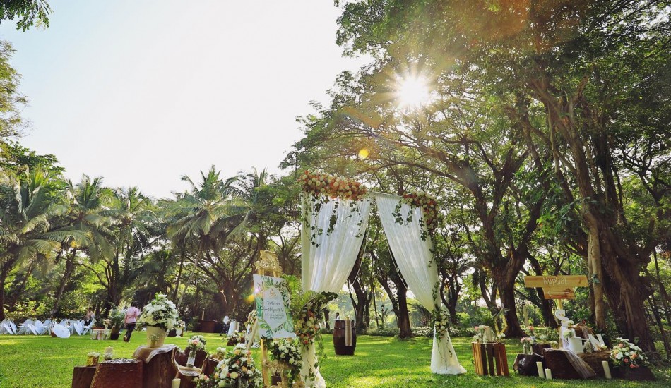 Purple Tree Events Solution